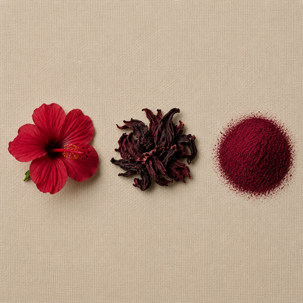 Hibiscus flower, dried, and milled into powder